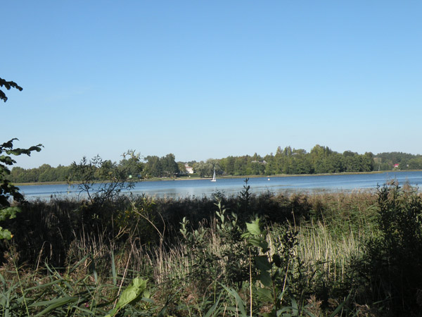DSCN3606