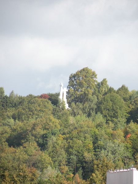DSCN4010